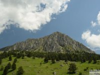 2026-05-31 Monti Tino e Faito 257